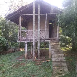 Kayyeni Nature Camp