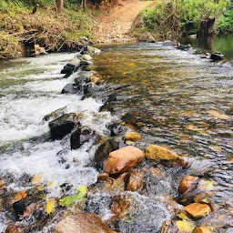 Kayyeni Nature Camp