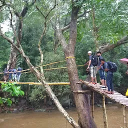 Kayyeni Nature Camp