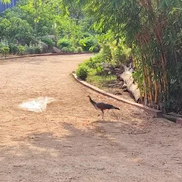 KBR Park Jogging Track