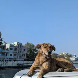 Blue Jay Resort Udaipur