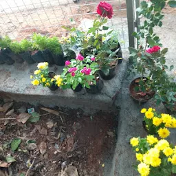 Keerthy Biopark Botanical Nursery, Trivandrum