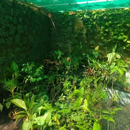 Keerthy Biopark Botanical Nursery, Trivandrum