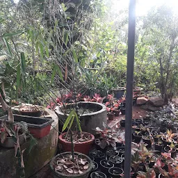 Keerthy Biopark Botanical Nursery, Trivandrum