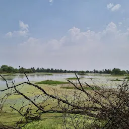 Keoladeo National Park, Rajasthan