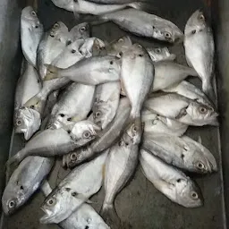 Kerala Fish Bazar