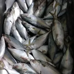 Kerala Fish Bazar