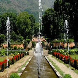 Kesar Tour and Travel - Chandigarh