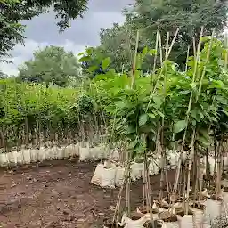 Kesaratagi Garden