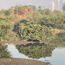 Kharghar Avian Park (Bird Watching Area)