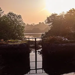 Kharghar Avian Park (Bird Watching Area)