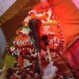 Khatushyam ji mandir guna