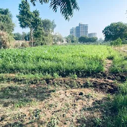 Khodiyar Farm (Bhadaj)