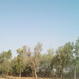 Khumiada Cricket Ground