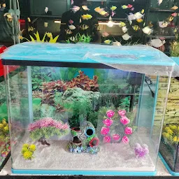 Khusboo Aquarium