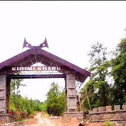 Kidima Traditional gate