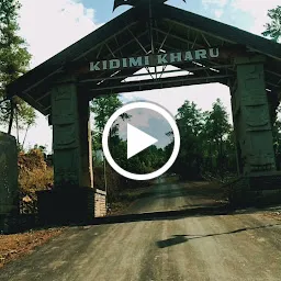 Kidima Traditional gate