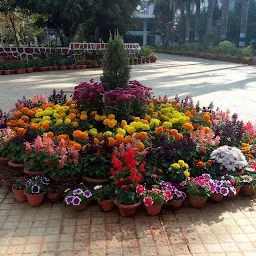 KIIT Garden