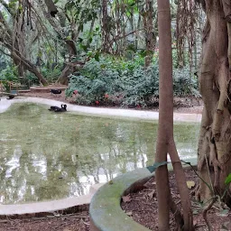 King's Aqua Garden