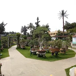 Kishkindha Moolika Bonsai Garden