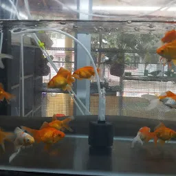 KK Aquarium