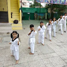 Knockout Taekwondo Academy