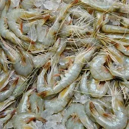 Knr Fish & Prawns Merchants seafoods prawns & Appolo fish, Boneless Fish -old guntur