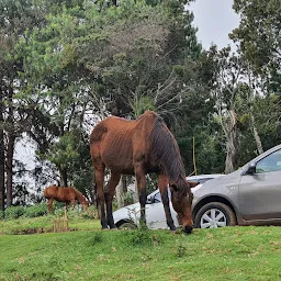 Kodai Call Taxi