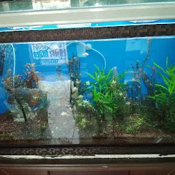 Kolkata Aquarium