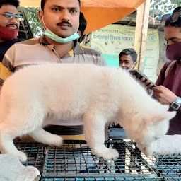 KOLKATA DOG HOUSE