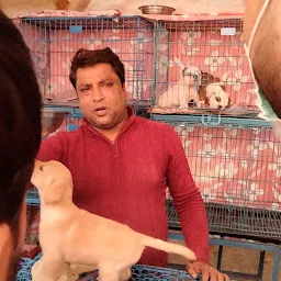 KOLKATA DOG HOUSE