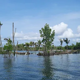 Kollam Houseboats Ashtamudi Lake Tours