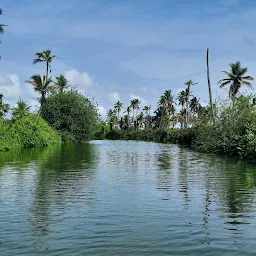 Kollam Houseboats Ashtamudi Lake Tours