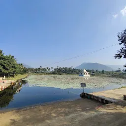 Koneru Simhachalam