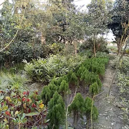 Kosi Nursery