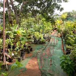 Kottakunnu Garden Nursery കോട്ടക്കുന്ന് ഗാർഡൻ നഴ്സറി