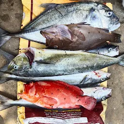 Kottakuppam Fish Market