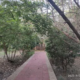 Kotturpuram Tree Park