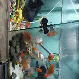 Kovai Aquarium
