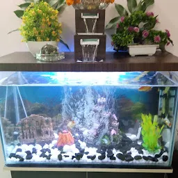 Koyal Fish Aquarium