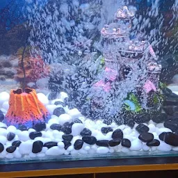 Koyal Fish Aquarium