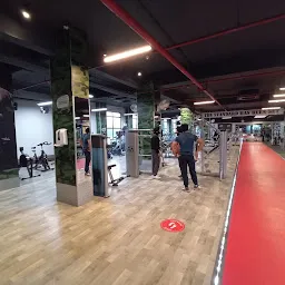 LVL UP GYMS, MOHALI