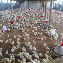 krishan Poultry Farm
