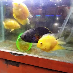 Krishna aquarium Raipur