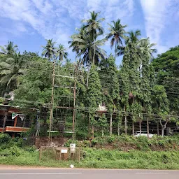 Krishna Thulasi Ayurveda Traditional Kerala Panchakarma Clinic