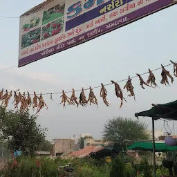 कर्मवीर नर्सरी