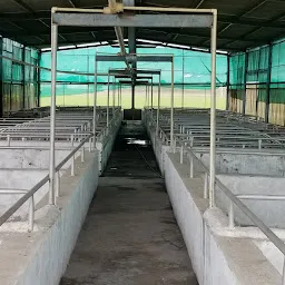 Kular Farms