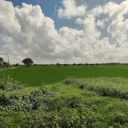 Kunchala Srinivas Reddy (Gardens)