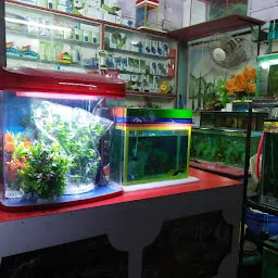 Kundan Aquarium (jamtara)