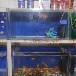 Kushbu Fish Aquarium